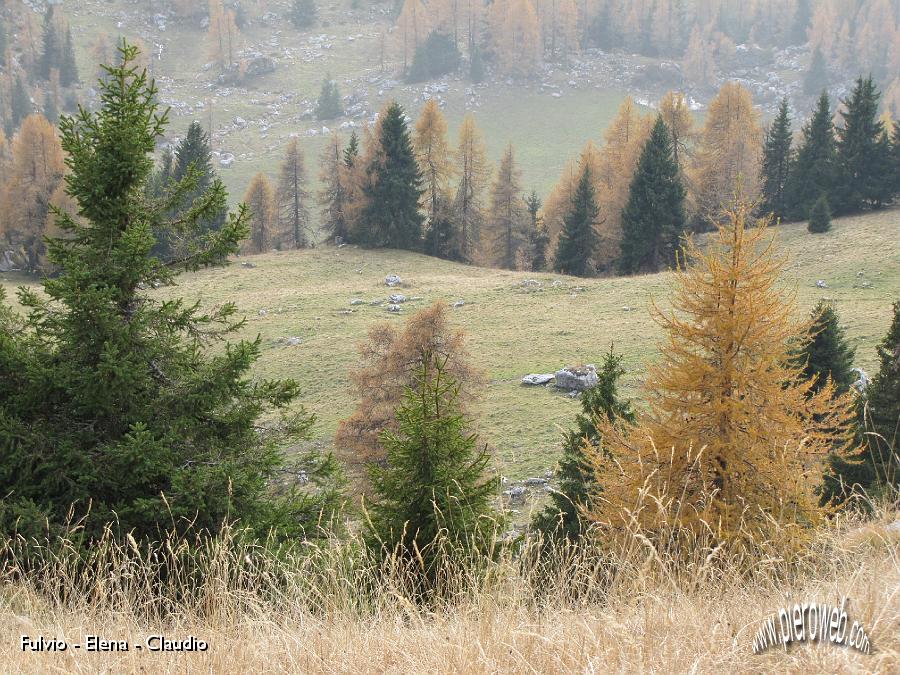 02 Autunno inoltrato.jpg